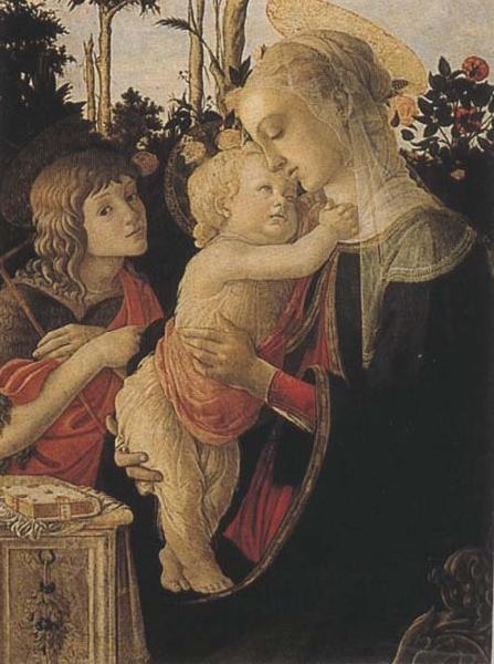 Sandro Botticelli Madonna of the Rose Garden or Madonna and Child with St John the Baptist oil painting image